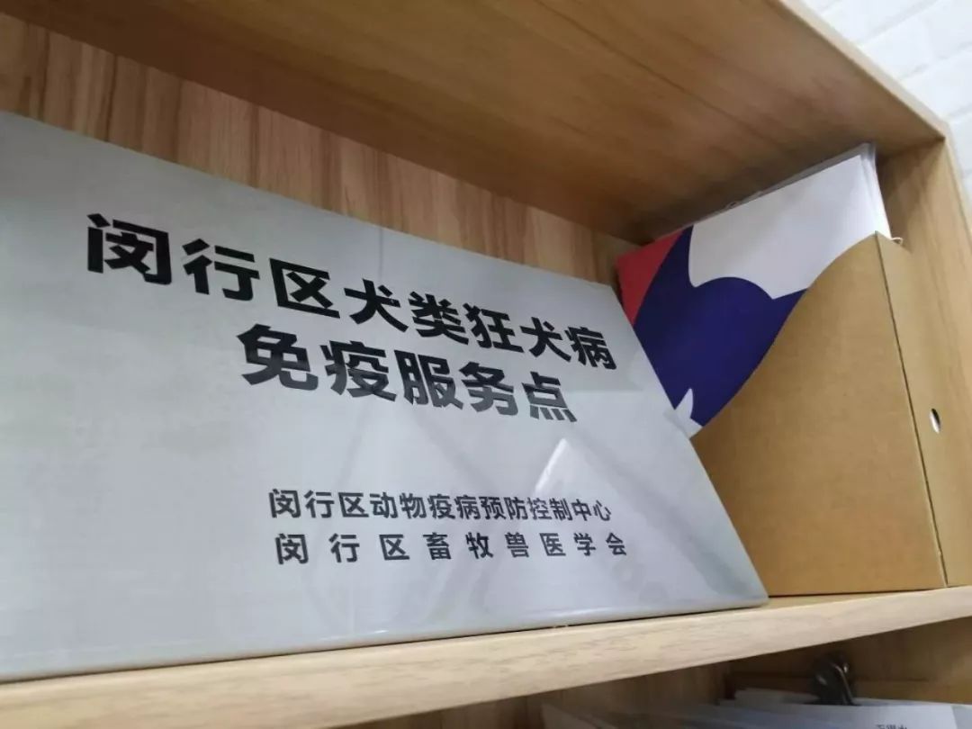 打完三针疫苗的拉布拉多,幼犬三针疫苗里面有没有细小疫苗