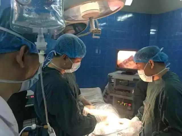 医联体又一大事！嘉兴市第二医院南湖分院今日揭牌！