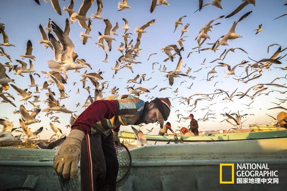 你忙着过七夕,而我用25张图纪念我们共度的这个夏天|夏末特供
