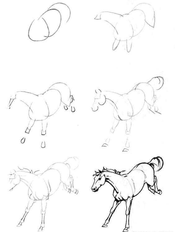 怎么把马画好,如何教你画真实的马