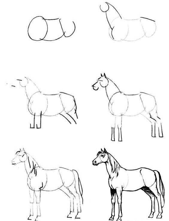 怎么把马画好,如何教你画真实的马