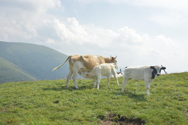 太平沟景区,兰州太平沟