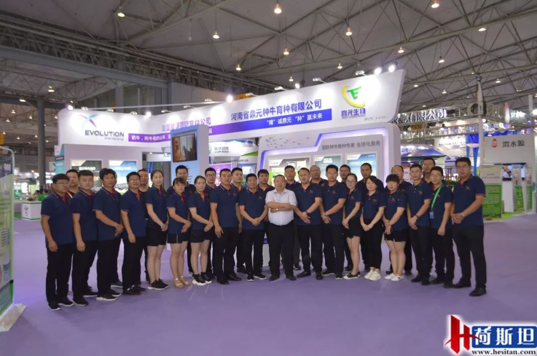 荷斯坦展览会,荷斯坦牛展