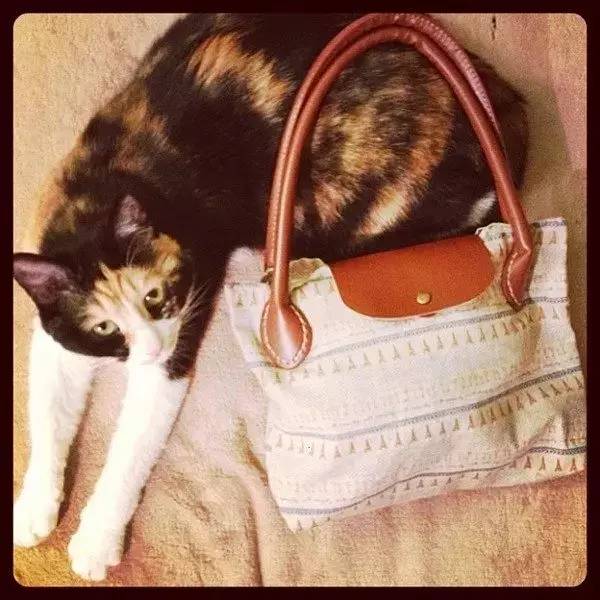 重新思考商业,深度思考奢侈品