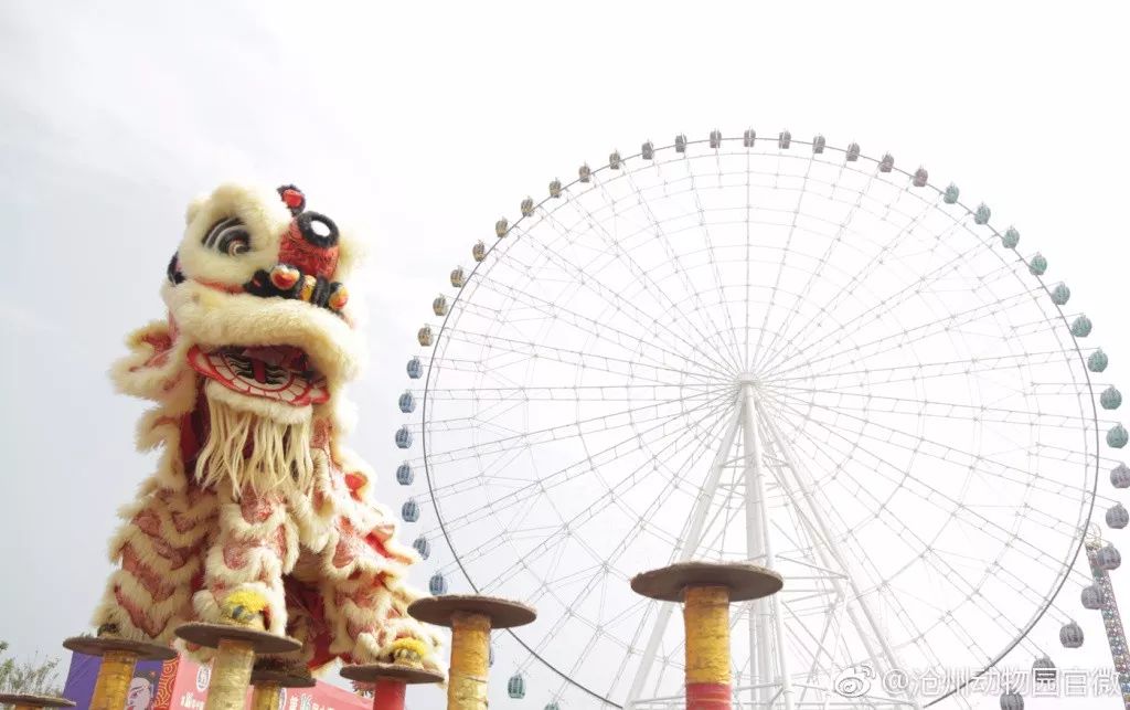 夜场游乐园24小时营业,园博游乐园夜场门票