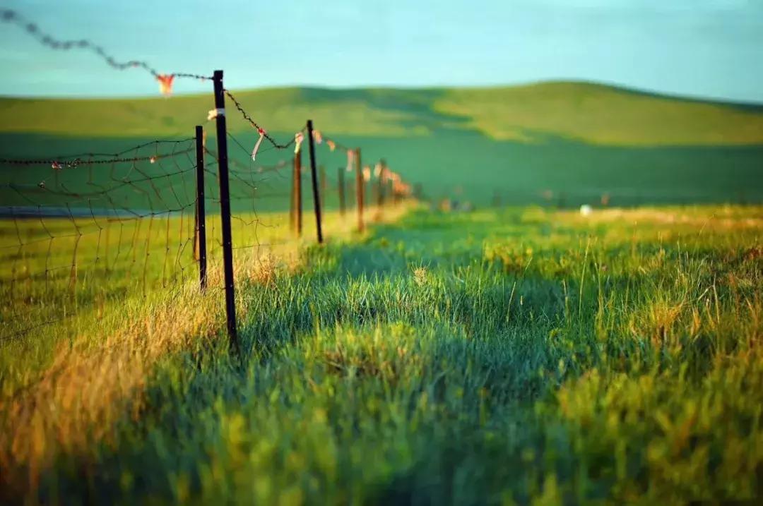 呼伦贝尔陈巴尔虎草原游牧部落 (呼伦贝尔陈巴尔虎旗人多不多)