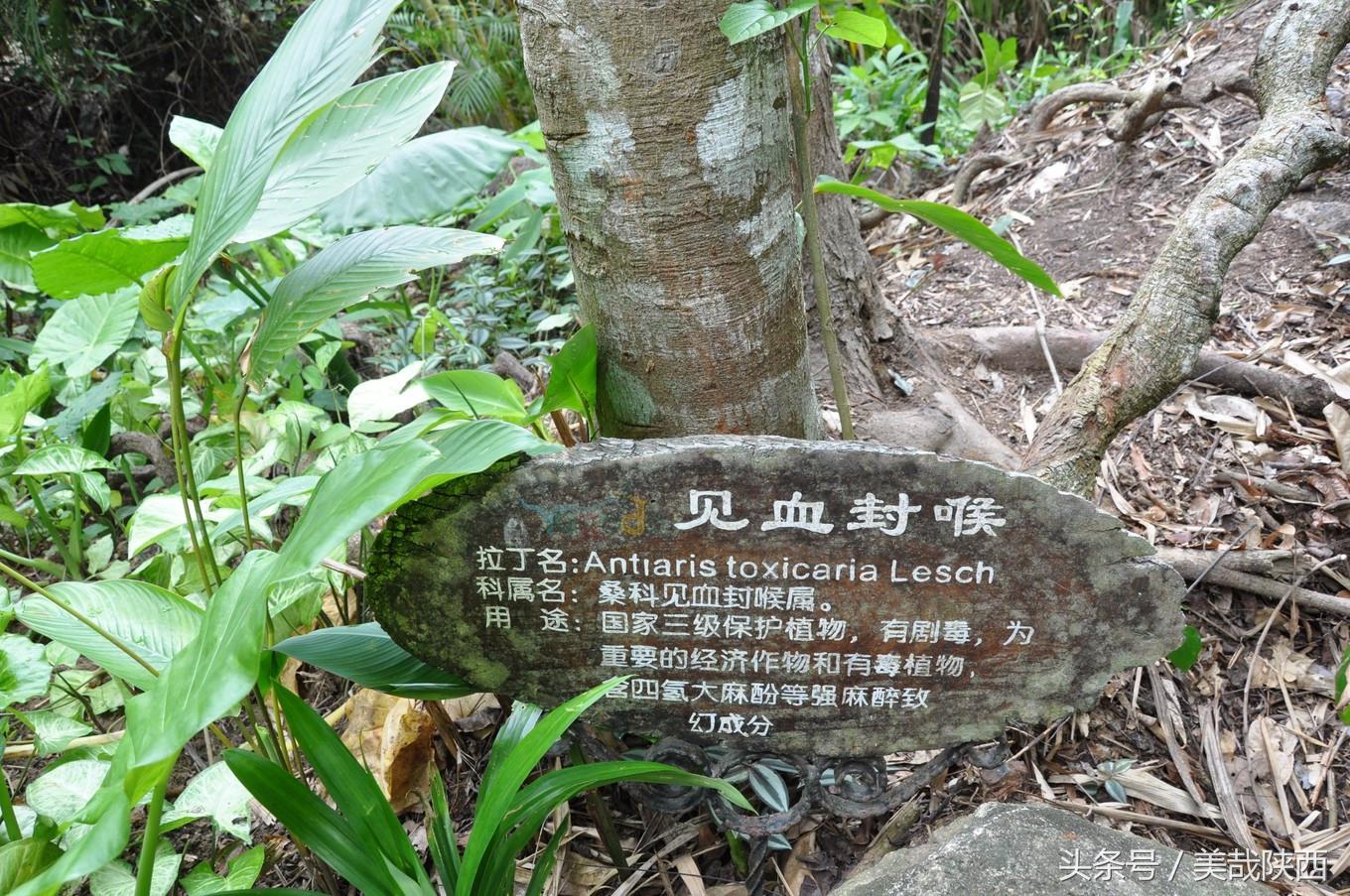 三亚，拥有全海南岛最美丽的海滨风光