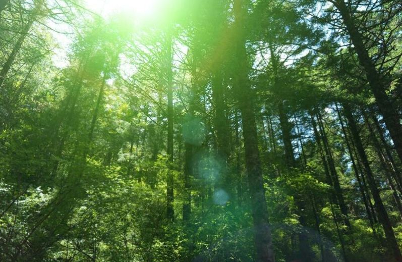 避暑黄龙洞,清凉避暑游