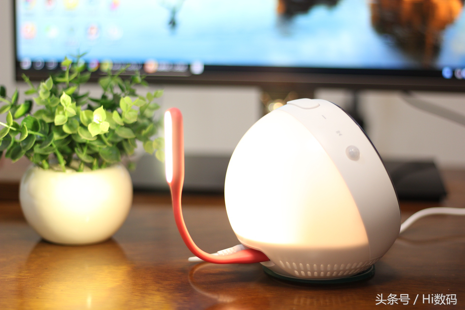 roome钃濈墮澶滅伅,roome澶滅伅璇勬祴