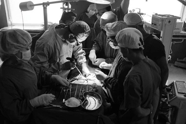 这些细胞害死了主人之后，又在实验室里繁殖了18000代