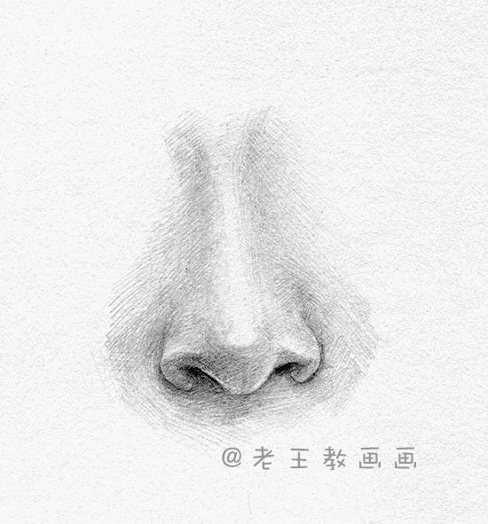 画鼻子教程素描,画鼻子教程动漫