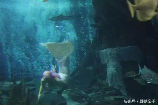 这个夏天去北京旅游好玩吗,夏天适合去的海底世界