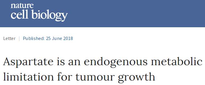 二甲双胍长寿研究的最新进展,服用二甲双胍最新研究成果