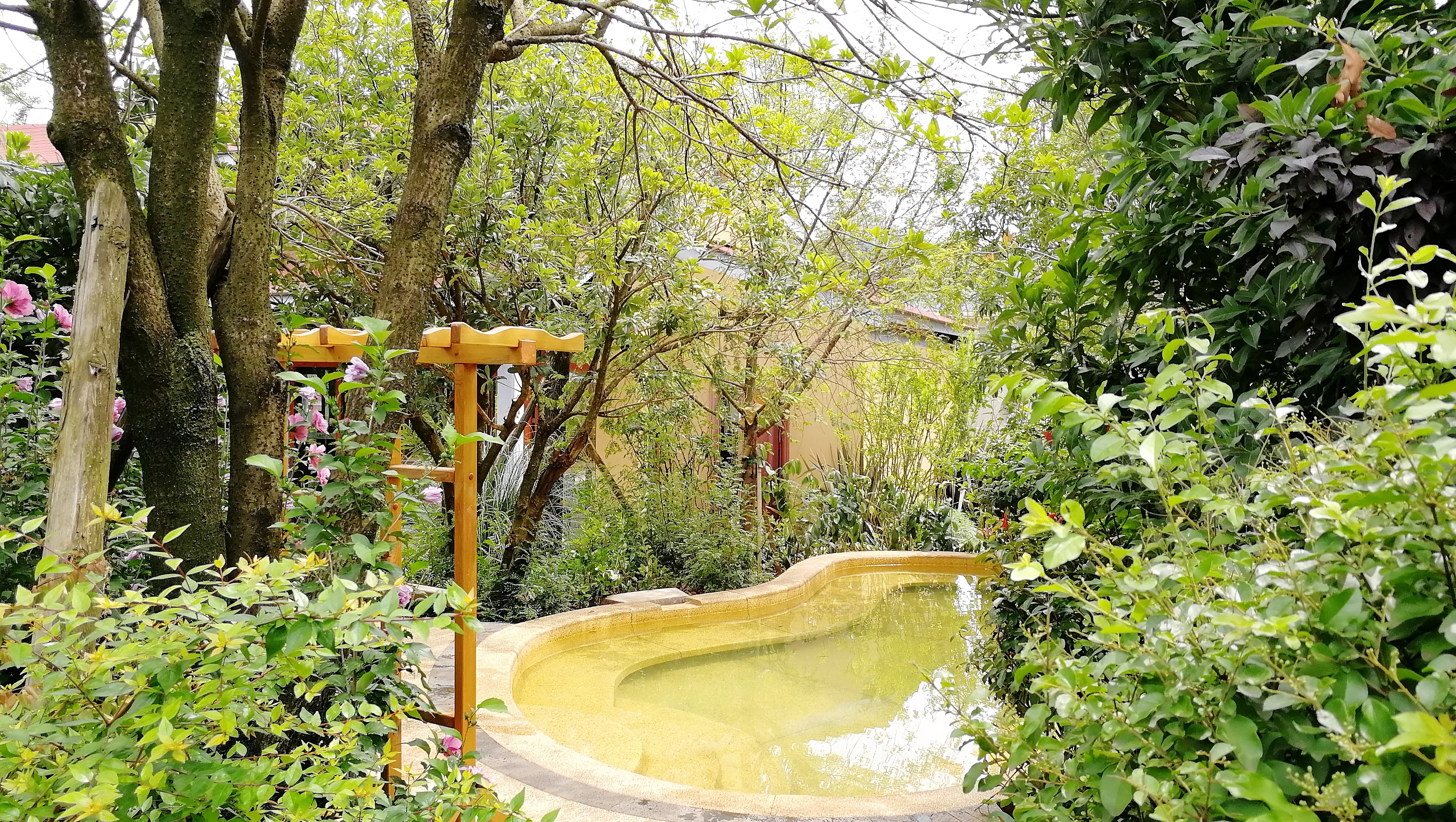 看花海，泡温泉，吃美食，周末就来这里！