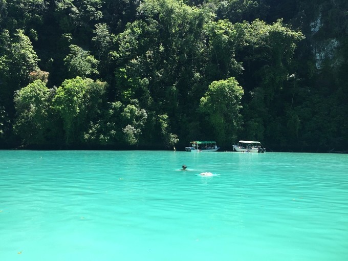 一个人的浪漫旅行视频,一个人的浪漫旅行自由自在