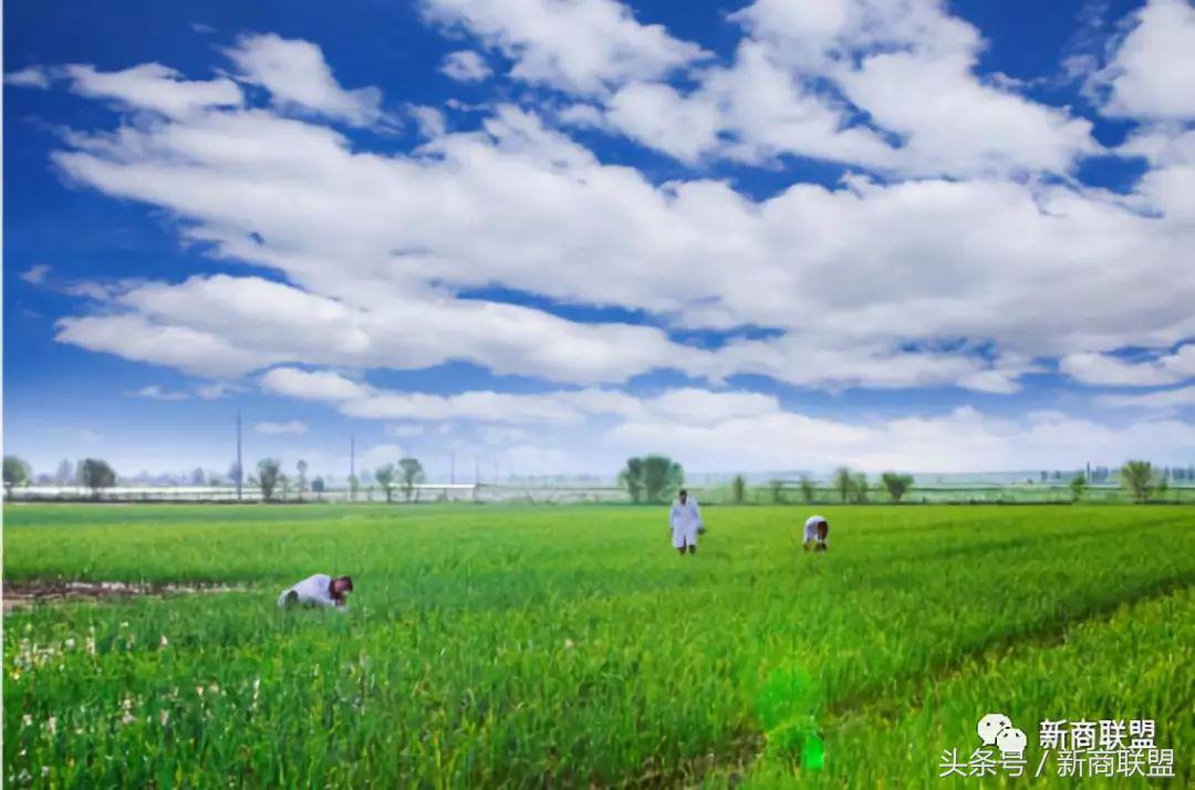 塞尔维亚人口,塞外独行侠