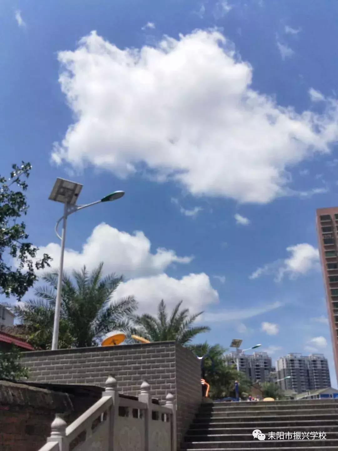 耒阳振兴学校2021年高考情况,耒阳市振兴学校高考成绩名单