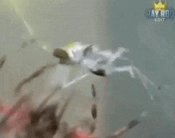 内马尔死亡翻滚，演技太夸张，墨西哥主帅赛后讽刺不配踢球！