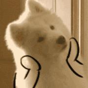 生过宝宝为什么拉屎都是绿的,生了孩子笑一下都会漏尿