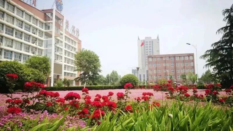 高招｜今年多少分可以上郑州工业学院、郑州财院、黄河交通、信阳学院？这份独家资料供你参考