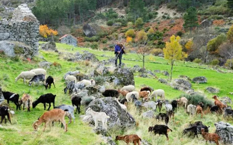 波兰美白面膜测评,德国抗老面膜推荐