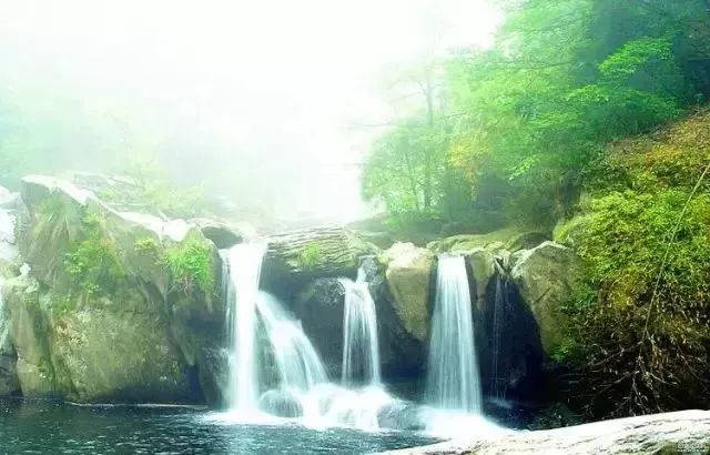 云顶草原花海,驼梁云顶草原风景