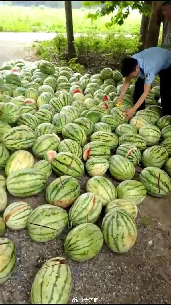 河南周口丢孩子的事件最新消息,河南杀人抢婴儿事件