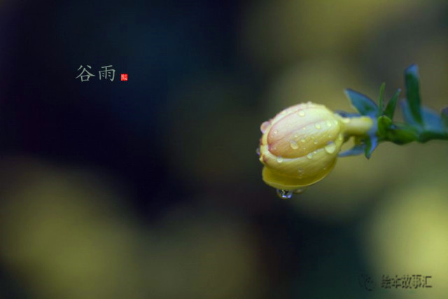 儿童睡前故事大全二十四节气,二十四节气故事睡前