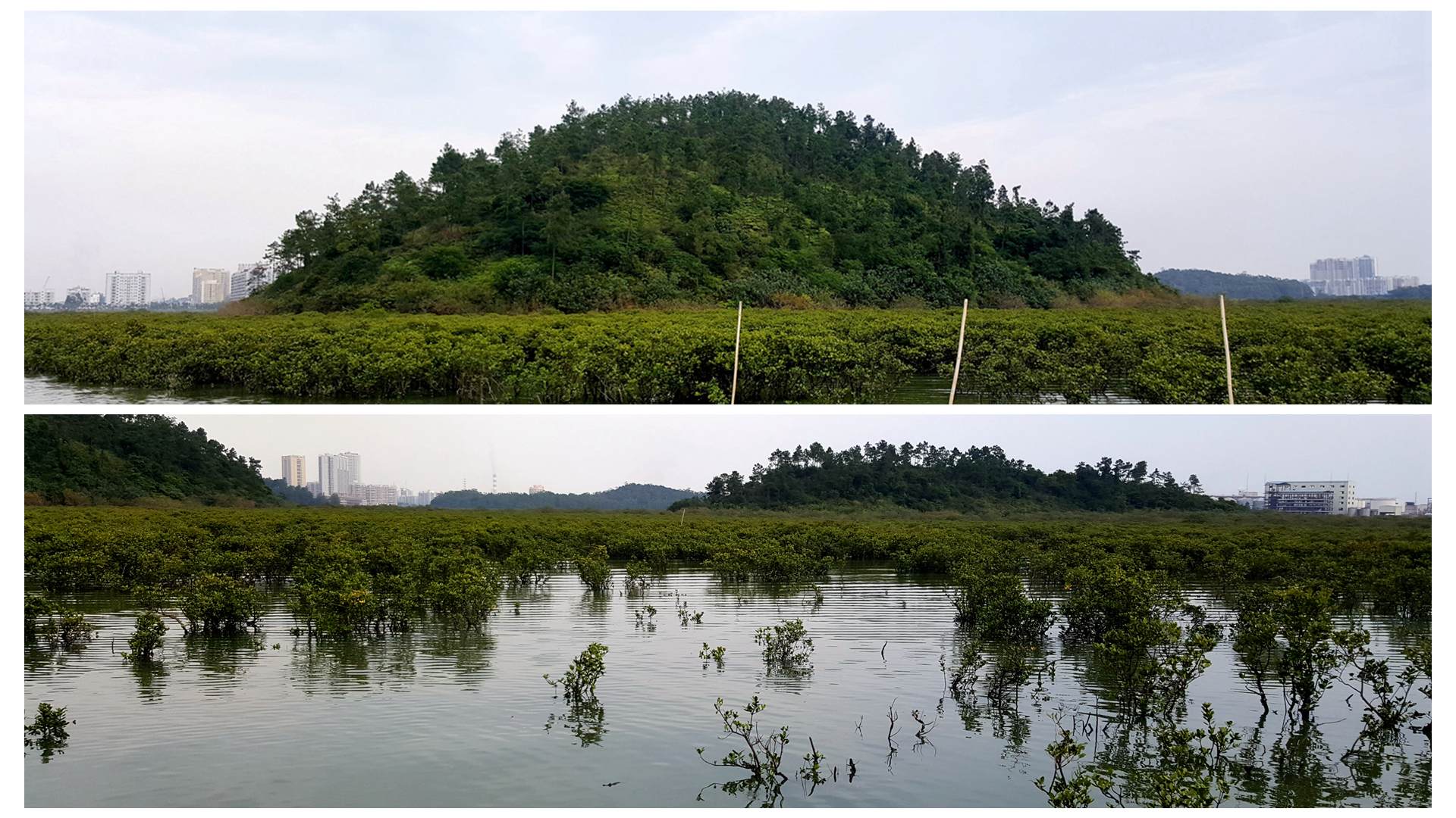 中国沿海旅行D4，天堂角到犀牛脚，人间难得一见钦州湾