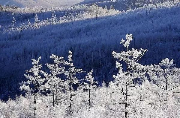 高反怎么化解,高反怎么办教你一招解决