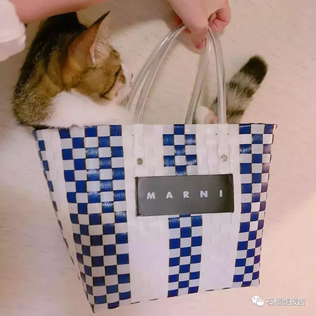 几十块钱夹的战利品,一百多元的战利品