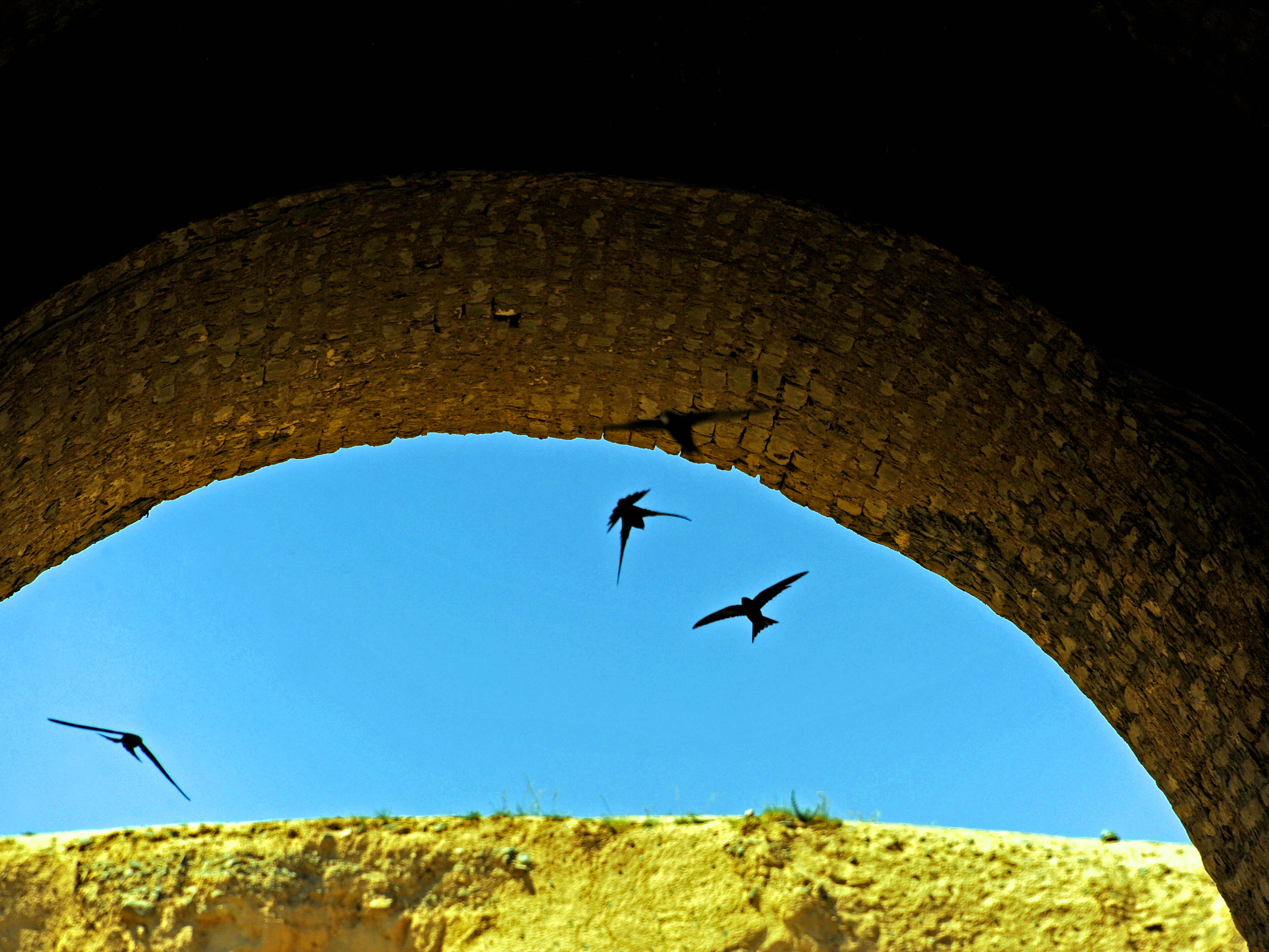 永泰县古城墙,永泰城因其形似龟俗称龟城