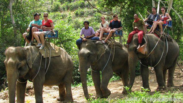 泰国清莱，此生不留遗憾的蜜月之“甜”！