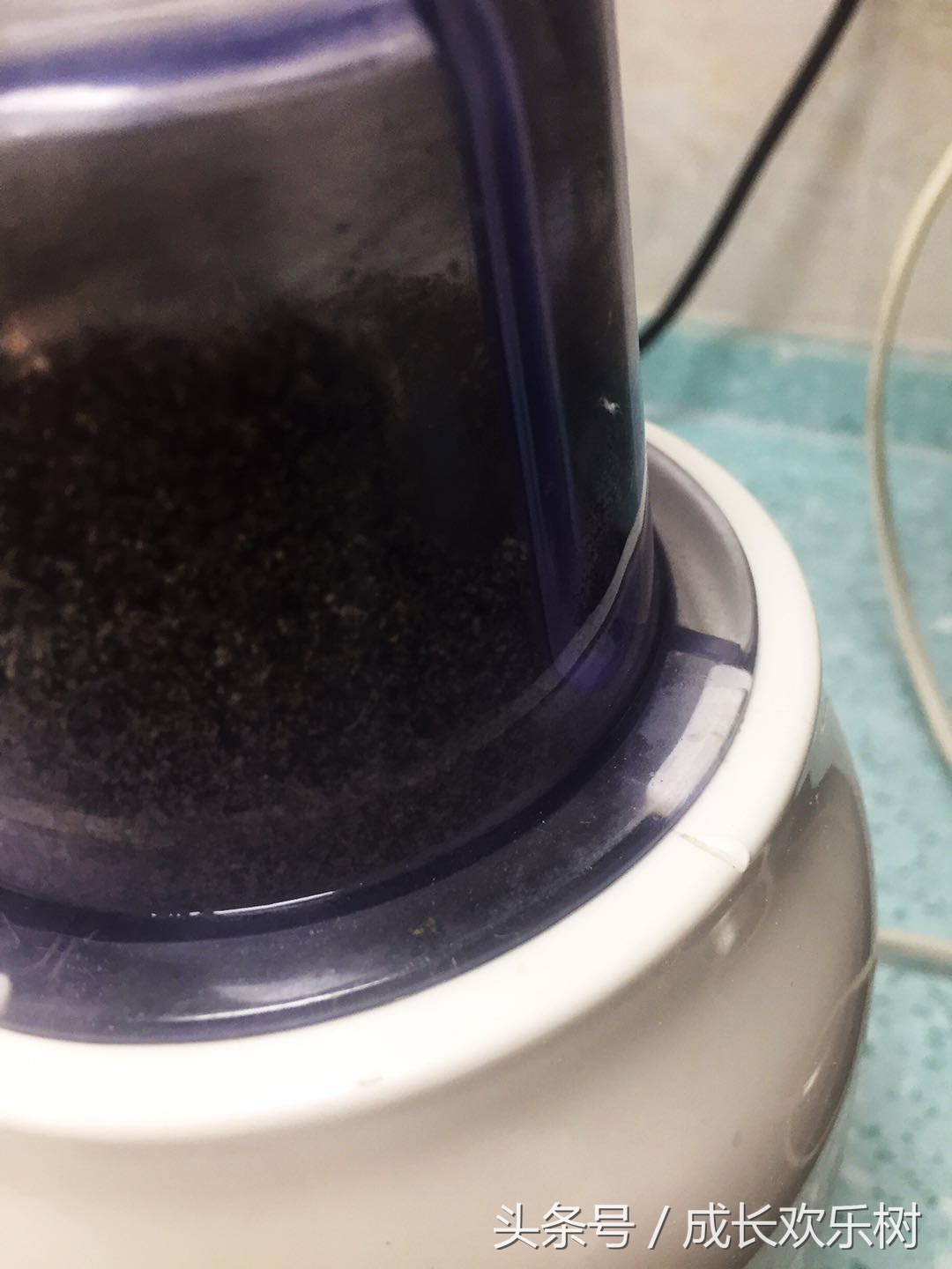 爸爸看世界杯，娃娃吃足球，好吃易学的足球馒头，一看就会