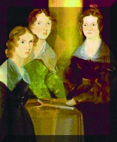 养一个约克夏要花多少钱,养一只约克夏的成本