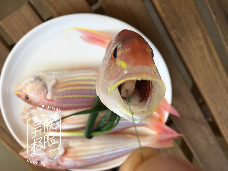 海钓料理鱼料,海钓用什么肉类最好吃