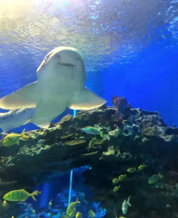 7月8月机票便宜又凉快的地方,六月份去哪里机票便宜又好玩