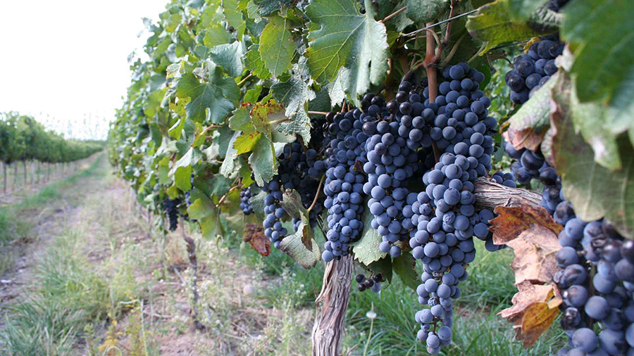 世界的尽头在哪里阿根廷,迷人的世界dj歌曲