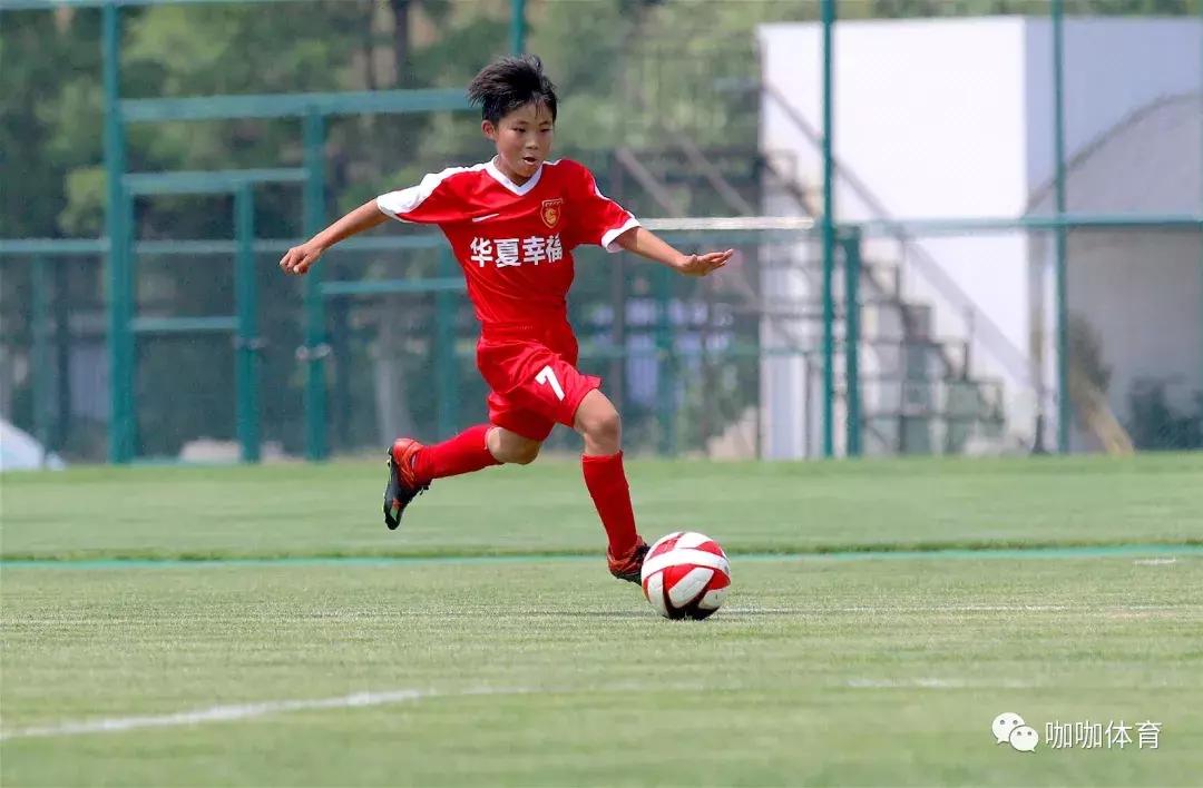 华夏青训最新动态,华夏青训发展