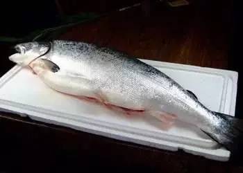 海鱼肉质鲜美，营养价值也高的10种鱼，你吃过几种？