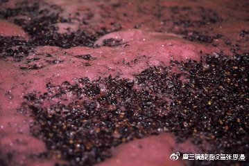 唐三镜生料酿酒技术,唐三镜酿酒技术及设备