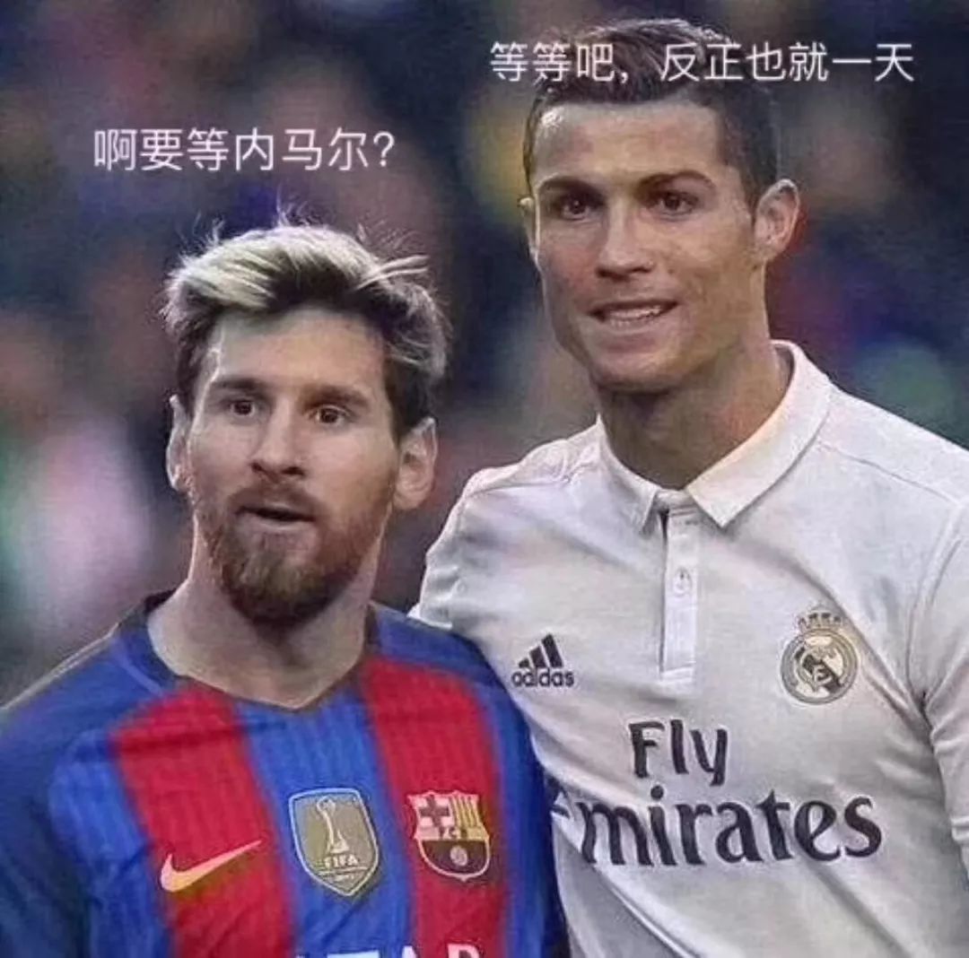 世界杯快乐足球比分,世界杯欢乐盛宴