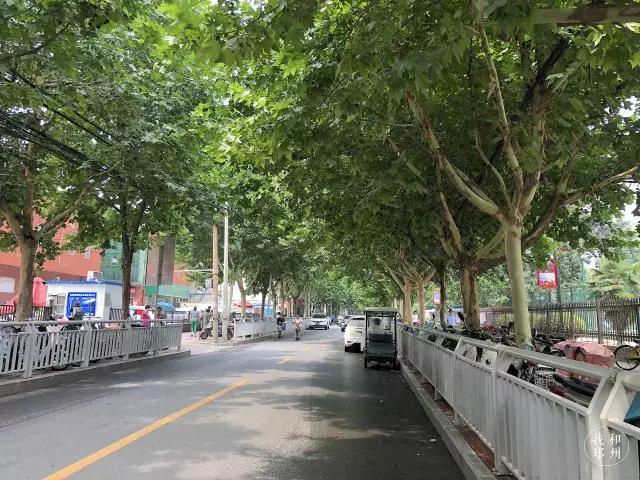 郑州中原区第十六中学,郑州第16中学简介