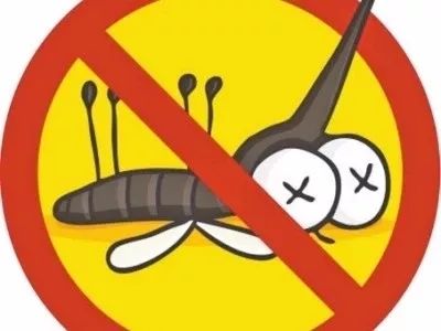 人体防蚊子最有效的方法,怎样健康防蚊子