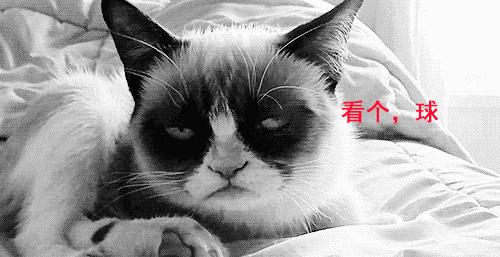 不信你不来「知音号免费福利」