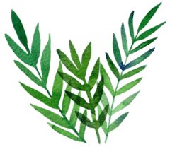 鍚嶅尰涓撴爮绉嬪鍏荤敓,鍚嶅尰涓撴爮杩滅鐥涢