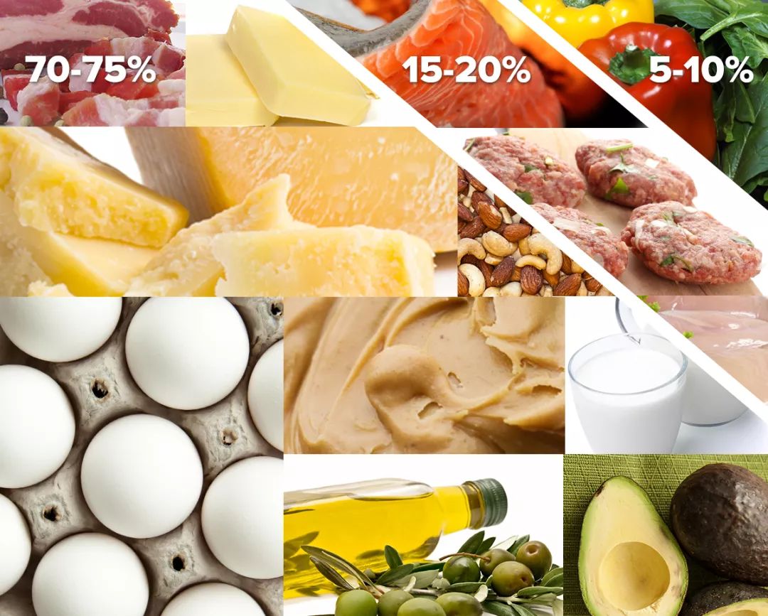 《自然》重磅：生酮饮食助力抗癌实锤！科学家发现生酮饮食能够帮助抗癌药抵挡胰岛素的干扰，大幅提高治疗效果｜科学大发现