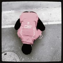 学会空中倒立,学会倒立就可以学的动作