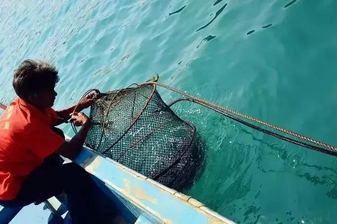 东莞游玩排名第一的海岛,东莞海岛观光旅游