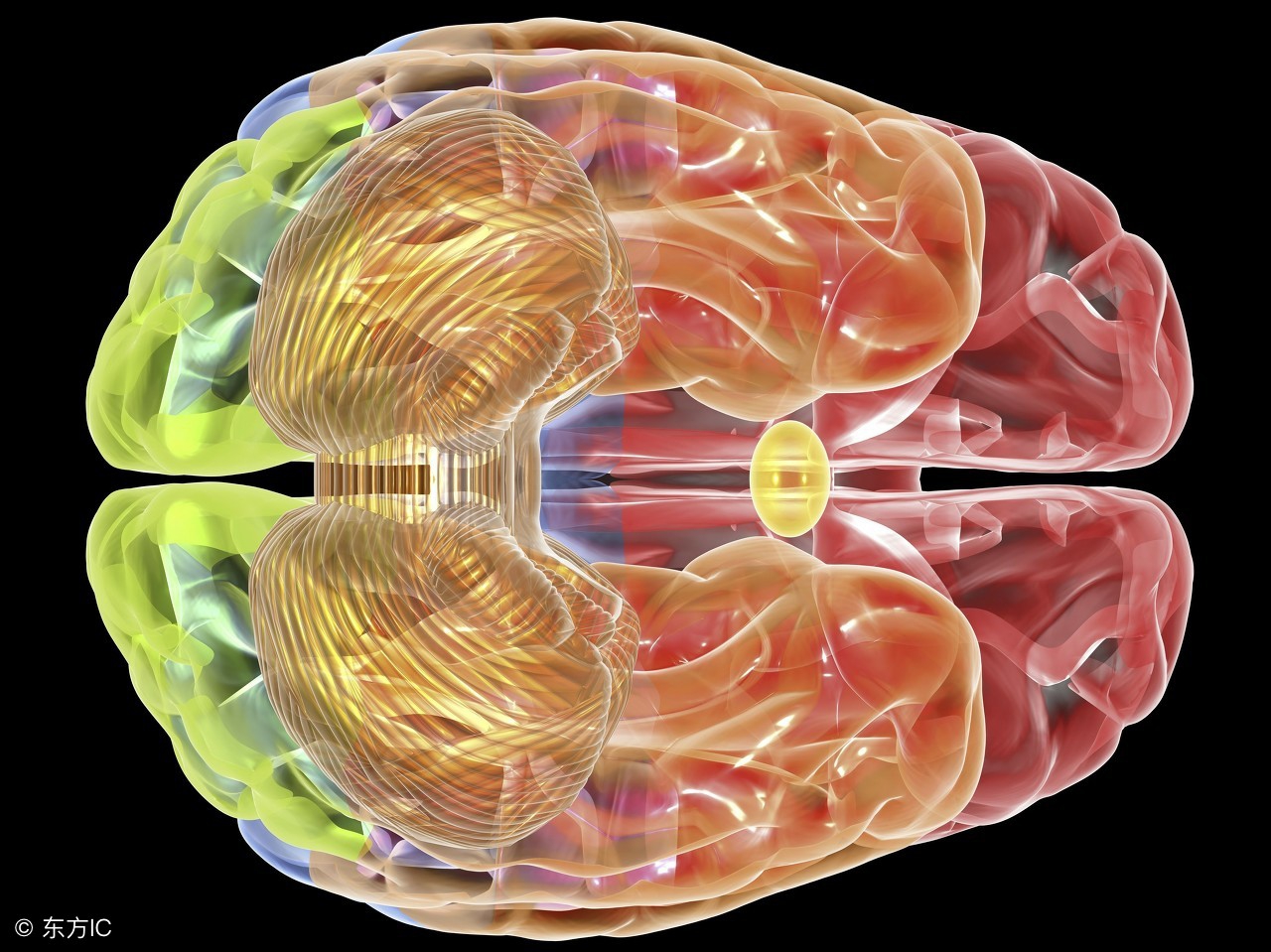 中医治疗小脑萎缩最佳方法,董氏奇穴治小脑萎缩的针灸